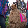 Photos: New Venue, Same Very Good Dogs At The Tompkins Square Halloween Parade